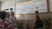 im Museum - Stammbaum &ndash; &copy; Heike Meinhold (Eberhardt TRAVEL)