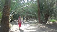 Palmenpark &ndash; &copy; Heike Meinhold (Eberhardt TRAVEL)