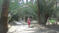 Palmenpark &ndash; &copy; Heike Meinhold (Eberhardt TRAVEL)