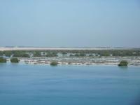 245 Mangroven Abu Dhabi &ndash; &copy; Patrick Fritzsche (Eberhardt TRAVEL)