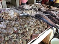 313 Fischmarkt Sharjah &ndash; &copy; Patrick Fritzsche (Eberhardt TRAVEL)
