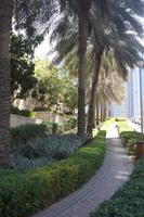 Dubai Marina (4) &ndash; &copy; Thomas Mühlbauer (Eberhardt TRAVEL)