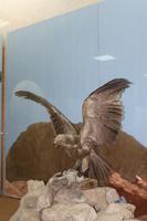 Nationalmuseum Al AIn (3) &ndash; &copy; Thomas Mühlbauer (Eberhardt TRAVEL)