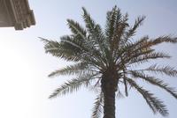 Sharjah (10) &ndash; &copy; Thomas Mühlbauer (Eberhardt TRAVEL)
