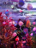 Aquarium Dubai Mall &ndash; &copy; Philip Seidel (Eberhardt TRAVEL)