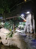 Aquarium Dubai Mall &ndash; &copy; Philip Seidel (Eberhardt TRAVEL)