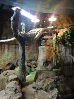 Aquarium Dubai Mall &ndash; &copy; Philip Seidel (Eberhardt TRAVEL)