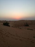 Wüstensafari &ndash; &copy; Philip Seidel (Eberhardt TRAVEL)