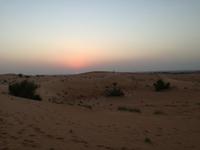 Wüstensafari &ndash; &copy; Philip Seidel (Eberhardt TRAVEL)
