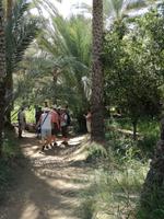 Oasenstadt Al Ain &ndash; &copy; Philip Seidel (Eberhardt TRAVEL)