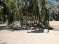Oasenstadt Al Ain &ndash; &copy; Philip Seidel (Eberhardt TRAVEL)