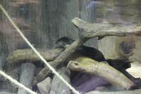 im Aquarium (5) &ndash; &copy; Kathrin Kubik (Eberhardt TRAVEL)