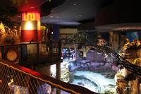 im Aquarium (13) &ndash; &copy; Kathrin Kubik (Eberhardt TRAVEL)