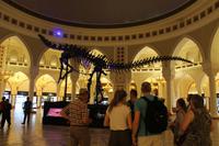 in der Dubai Mall (4) &ndash; &copy; Kathrin Kubik (Eberhardt TRAVEL)