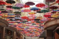 in der Dubai Mall (6) &ndash; &copy; Kathrin Kubik (Eberhardt TRAVEL)