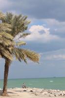 IMG_3414_Fotostopp am Strand von Sharjah &ndash; &copy; Alice Teipelke (Eberhardt TRAVEL)