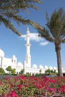 IMG_3492_Sheik Zayed Moschee in Abu Dhabi &ndash; &copy; Alice Teipelke (Eberhardt TRAVEL)