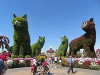 Miracle Garden &ndash; &copy; Sylvia Sann (Eberhardt TRAVEL)