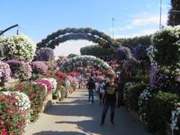 Miracle Garden &ndash; &copy; Sylvia Sann (Eberhardt TRAVEL)