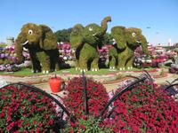 Miracle Garden &ndash; &copy; Sylvia Sann (Eberhardt TRAVEL)
