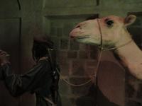 Dubai-Museum &ndash; &copy; Sylvia Sann (Eberhardt TRAVEL)