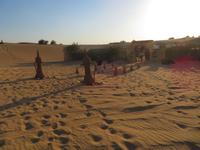 Wüstensafari &ndash; &copy; Sylvia Sann (Eberhardt TRAVEL)