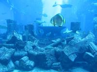 Atlantis-Hotel &ndash; &copy; Sylvia Sann (Eberhardt TRAVEL)