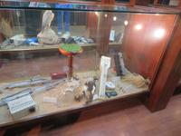 Falkenklinik Abu Dhabi &ndash; &copy; Sylvia Sann (Eberhardt TRAVEL)