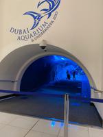 Aquarium in der Dubai Mall &ndash; &copy; Marianne Förster (Eberhardt TRAVEL)