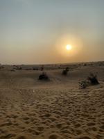 Wüstensafari &ndash; &copy; Marianne Förster (Eberhardt TRAVEL)