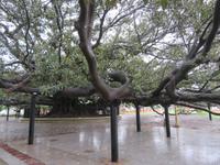 Buenos Aires &ndash; &copy; Sylvia Sann (Eberhardt TRAVEL)