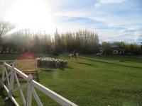 Besuch einer Estancia in El Calafate &ndash; &copy; Sylvia Sann (Eberhardt TRAVEL)