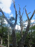 Nationalpark Los Glaciares &ndash; &copy; Sylvia Sann (Eberhardt TRAVEL)