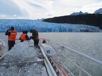 Gletscher Grey