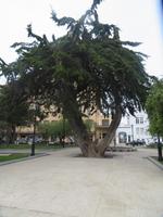 Punta Arenas