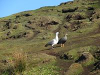 &copy; Sylvia Sann (Eberhardt TRAVEL)