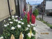 Ushuaia &ndash; &copy; Sylvia Sann (Eberhardt TRAVEL)