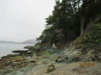 Feuerland-Nationalpark &ndash; &copy; Sylvia Sann (Eberhardt TRAVEL)
