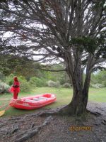 Feuerland-Nationalpark &ndash; &copy; Sylvia Sann (Eberhardt TRAVEL)