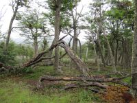 Feuerland-Nationalpark &ndash; &copy; Sylvia Sann (Eberhardt TRAVEL)