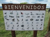 Laguna Nimez &ndash; &copy; Sylvia Sann (Eberhardt TRAVEL)