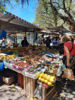 Markt in Ipanema &ndash; &copy; Sylvia Sann (Eberhardt TRAVEL)