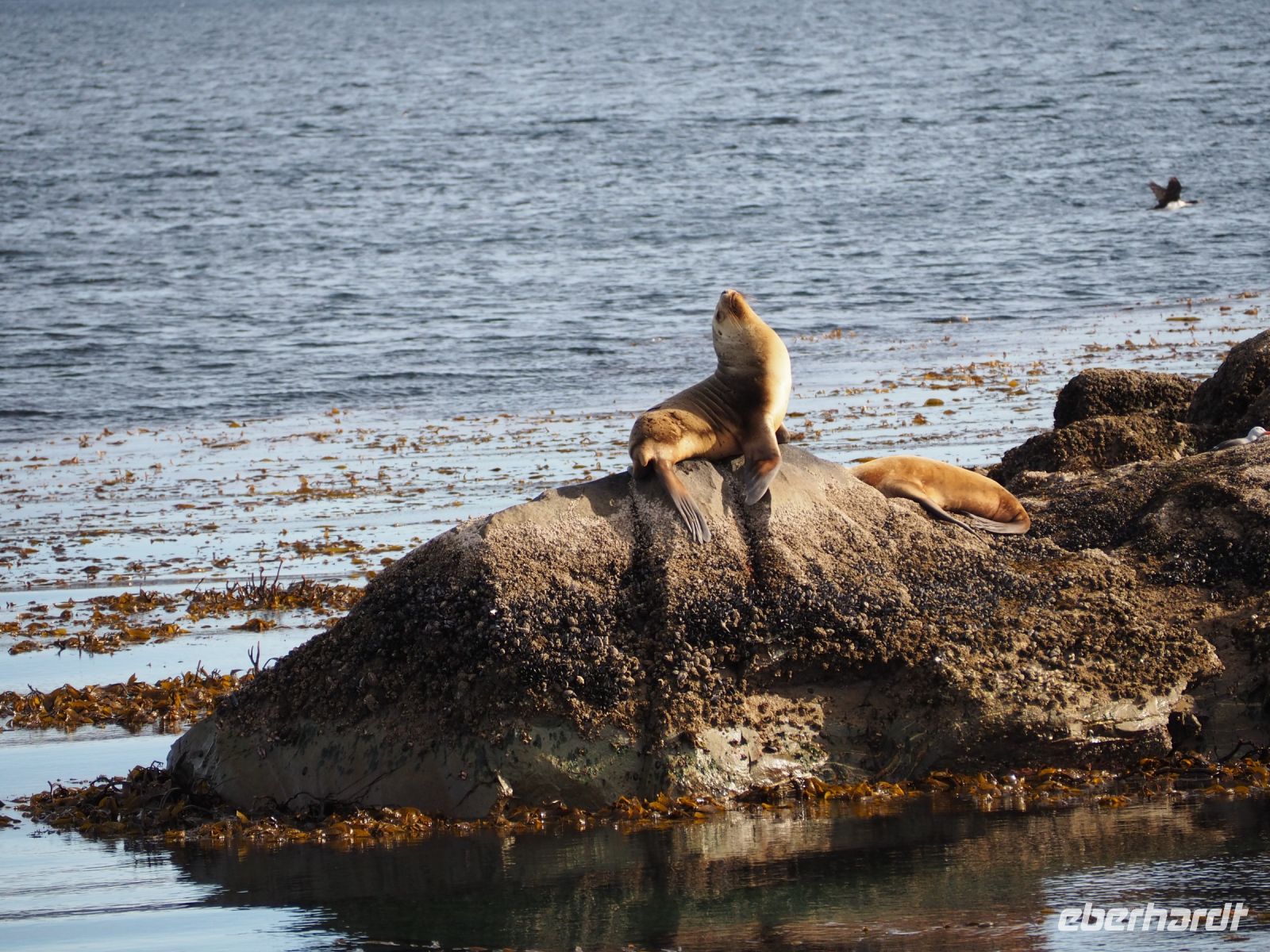 Schifffahrt auf dem Beagle Kanal &ndash; &copy; Sinah Witzig (Eberhardt TRAVEL)