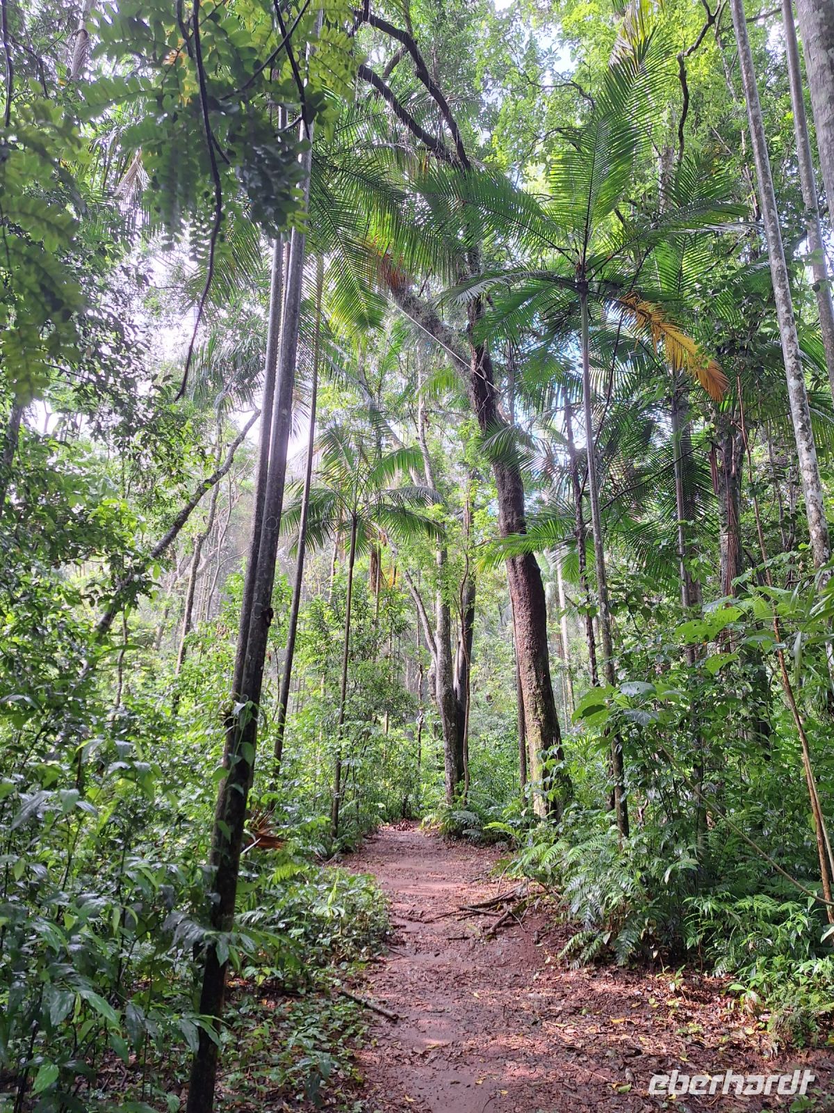 Vogelpark Iguazu &ndash; &copy; Sinah Witzig (Eberhardt TRAVEL)
