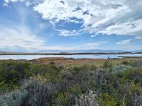 Laguna Nimez &ndash; &copy; Sinah Witzig (Eberhardt TRAVEL)