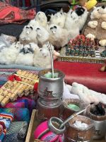 Und kleine Kuschellamas &ndash; &copy; Birgit Kirchner (Eberhardt TRAVEL)