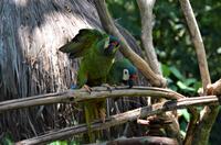 Vogelpark  1 &ndash; &copy; Katja Neumann (Eberhardt TRAVEL)