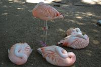 Vogelpark 3 &ndash; &copy; Katja Neumann (Eberhardt TRAVEL)