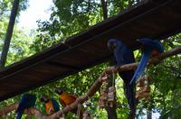 Vogelpark 9 &ndash; &copy; Katja Neumann (Eberhardt TRAVEL)