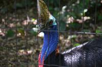 Vogelpark 12 &ndash; &copy; Katja Neumann (Eberhardt TRAVEL)